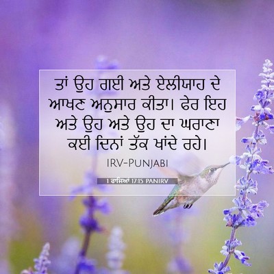 Picture 07 - 1 ਰਾਜਿਆਂ 17:15 PANIRV - ਤਾਂ ਉਹ ਗਈ ਅਤੇ - Bible Verse Picture
