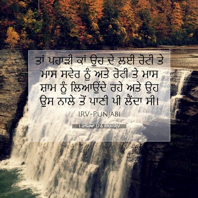 Picture 07 - 1 ਰਾਜਿਆਂ 17:6 PANIRV - ਤਾਂ ਪਹਾੜੀ ਕਾਂ ਉਹ ਦੇ - Bible Verse Picture