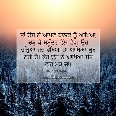 Picture 07 - 1 ਰਾਜਿਆਂ 18:43 PANIRV - ਤਾਂ ਉਸ ਨੇ ਆਪਣੇ - Bible Verse Picture