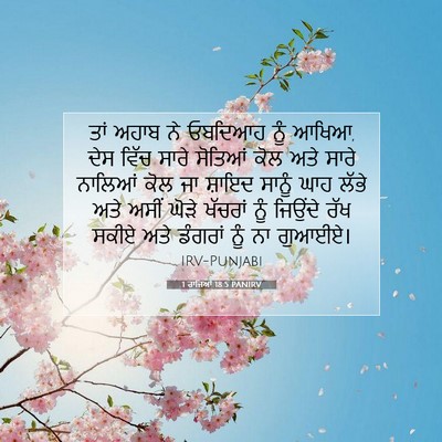 Picture 07 - 1 ਰਾਜਿਆਂ 18:5 PANIRV - ਤਾਂ ਅਹਾਬ ਨੇ ਓਬਦਿਆਹ - Bible Verse Picture