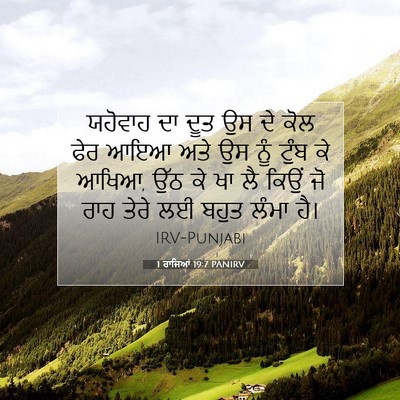 Picture 07 - 1 ਰਾਜਿਆਂ 19:7 PANIRV - ਯਹੋਵਾਹ ਦਾ ਦੂਤ ਉਸ ਦੇ - Bible Verse Picture