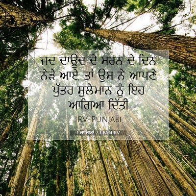 Picture 07 - 1 ਰਾਜਿਆਂ 2:1 PANIRV - ਜਦ ਦਾਊਦ ਦੇ ਮਰਨ ਦੇ - Bible Verse Picture