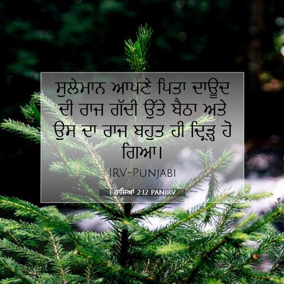 Picture 07 - 1 ਰਾਜਿਆਂ 2:12 PANIRV - ਸੁਲੇਮਾਨ ਆਪਣੇ ਪਿਤਾ - Bible Verse Picture