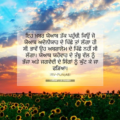 Picture 07 - 1 ਰਾਜਿਆਂ 2:28 PANIRV - ਇਹ ਖ਼ਬਰ ਯੋਆਬ ਤੱਕ - Bible Verse Picture