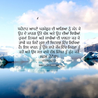 Picture 07 - 1 ਰਾਜਿਆਂ 2:3 PANIRV - ਯਹੋਵਾਹ ਆਪਣੇ - Bible Verse Picture