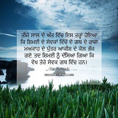 Picture 07 - 1 ਰਾਜਿਆਂ 2:39 PANIRV - ਤੀਜੇ ਸਾਲ ਦੇ ਅੰਤ - Bible Verse Picture