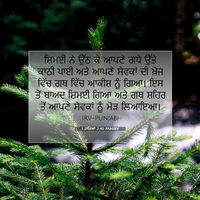 Picture 07 - 1 ਰਾਜਿਆਂ 2:40 PANIRV - ਸ਼ਿਮਈ ਨੇ ਉੱਠ ਕੇ - Bible Verse Picture