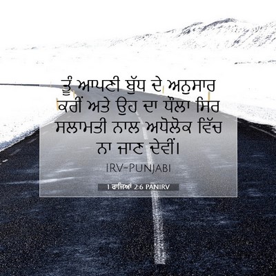 Picture 07 - 1 ਰਾਜਿਆਂ 2:6 PANIRV - ਤੂੰ ਆਪਣੀ ਬੁੱਧ ਦੇ - Bible Verse Picture