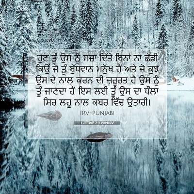 Picture 07 - 1 ਰਾਜਿਆਂ 2:9 PANIRV - ਹੁਣ ਤੂੰ ਉਸ ਨੂੰ ਸਜ਼ਾ - Bible Verse Picture