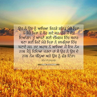 Picture 07 - 1 ਰਾਜਿਆਂ 20:34 PANIRV - ਉਹ ਨੇ ਉਸ ਨੂੰ ਆਖਿਆ, - Bible Verse Picture