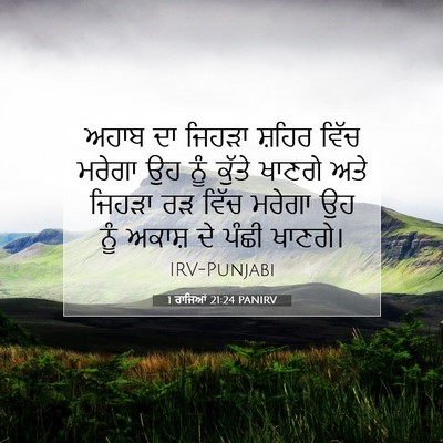 Picture 07 - 1 ਰਾਜਿਆਂ 21:24 PANIRV - ਅਹਾਬ ਦਾ ਜਿਹੜਾ - Bible Verse Picture