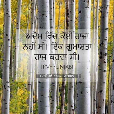 Picture 07 - 1 ਰਾਜਿਆਂ 22:47 PANIRV - ਅਦੋਮ ਵਿੱਚ ਕੋਈ ਰਾਜਾ - Bible Verse Picture