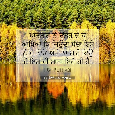 Picture 07 - 1 ਰਾਜਿਆਂ 3:27 PANIRV - ਪਾਤਸ਼ਾਹ ਨੇ ਉੱਤਰ ਦੇ - Bible Verse Picture