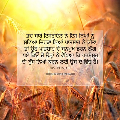Picture 07 - 1 ਰਾਜਿਆਂ 3:28 PANIRV - ਤਦ ਸਾਰੇ ਇਸਰਾਏਲ ਨੇ - Bible Verse Picture