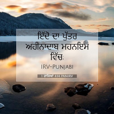 Picture 07 - 1 ਰਾਜਿਆਂ 4:14 PANIRV - ਇੱਦੋ ਦਾ ਪੁੱਤਰ - Bible Verse Picture