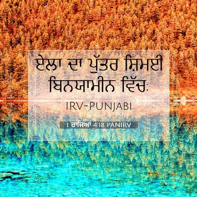 Picture 07 - 1 ਰਾਜਿਆਂ 4:18 PANIRV - ਏਲਾ ਦਾ ਪੁੱਤਰ ਸ਼ਿਮਈ - Bible Verse Picture