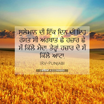 Picture 07 - 1 ਰਾਜਿਆਂ 4:22 PANIRV - ਸੁਲੇਮਾਨ ਦੀ ਇੱਕ ਦਿਨ - Bible Verse Picture