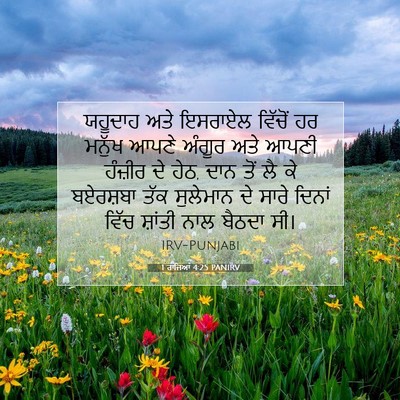 Picture 07 - 1 ਰਾਜਿਆਂ 4:25 PANIRV - ਯਹੂਦਾਹ ਅਤੇ ਇਸਰਾਏਲ - Bible Verse Picture