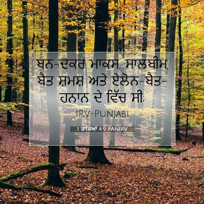 Picture 07 - 1 ਰਾਜਿਆਂ 4:9 PANIRV - ਬਨ-ਦਕਰ ਮਾਕਸ, - Bible Verse Picture