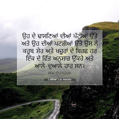 Picture 07 - 1 ਰਾਜਿਆਂ 7:36 PANIRV - ਉਹ ਦੇ ਢਾਸਣਿਆਂ ਦੀਆਂ - Bible Verse Picture