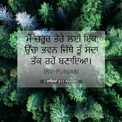 Picture 07 - 1 ਰਾਜਿਆਂ 8:13 PANIRV - ਮੈਂ ਜ਼ਰੂਰ ਤੇਰੇ ਲਈ - Bible Verse Picture