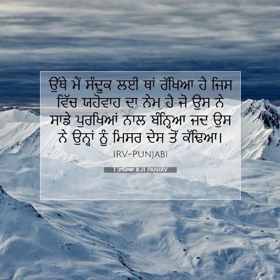 Picture 07 - 1 ਰਾਜਿਆਂ 8:21 PANIRV - ਉੱਥੇ ਮੈਂ ਸੰਦੂਕ ਲਈ - Bible Verse Picture
