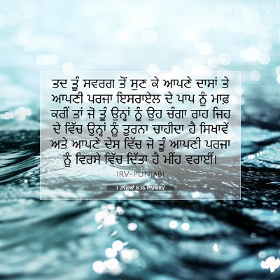 Picture 07 - 1 ਰਾਜਿਆਂ 8:36 PANIRV - ਤਦ ਤੂੰ ਸਵਰਗ ਤੋਂ ਸੁਣ - Bible Verse Picture