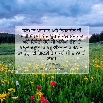 Picture 07 - 1 ਰਾਜਿਆਂ 8:5 PANIRV - ਸੁਲੇਮਾਨ ਪਾਤਸ਼ਾਹ - Bible Verse Picture