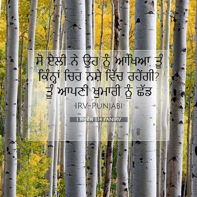 Picture 07 - 1 ਸਮੂਏਲ 1:14 PANIRV - ਸੋ ਏਲੀ ਨੇ ਉਹ ਨੂੰ - Bible Verse Picture