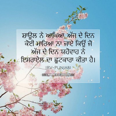 Picture 07 - 1 ਸਮੂਏਲ 11:13 PANIRV - ਸ਼ਾਊਲ ਨੇ ਆਖਿਆ, ਅੱਜ - Bible Verse Picture