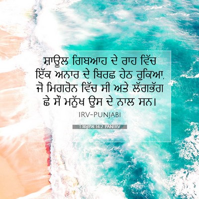 Picture 07 - 1 ਸਮੂਏਲ 14:2 PANIRV - ਸ਼ਾਊਲ ਗਿਬਆਹ ਦੇ ਰਾਹ - Bible Verse Picture
