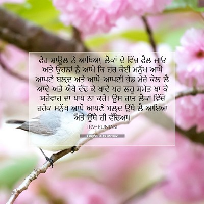 Picture 07 - 1 ਸਮੂਏਲ 14:34 PANIRV - ਫੇਰ ਸ਼ਾਊਲ ਨੇ ਆਖਿਆ, - Bible Verse Picture