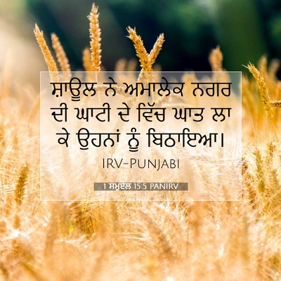 Picture 07 - 1 ਸਮੂਏਲ 15:5 PANIRV - ਸ਼ਾਊਲ ਨੇ ਅਮਾਲੇਕ - Bible Verse Picture