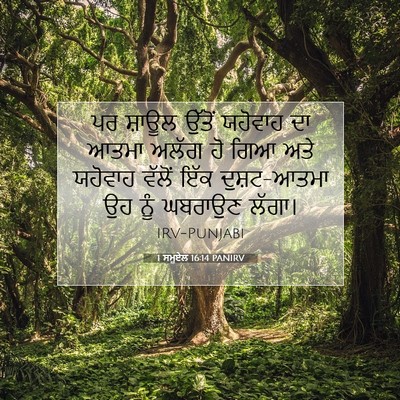 Picture 07 - 1 ਸਮੂਏਲ 16:14 PANIRV - ਪਰ ਸ਼ਾਊਲ ਉੱਤੋਂ - Bible Verse Picture