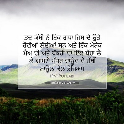 Picture 07 - 1 ਸਮੂਏਲ 16:20 PANIRV - ਤਦ ਯੱਸੀ ਨੇ ਇੱਕ ਗਧਾ - Bible Verse Picture