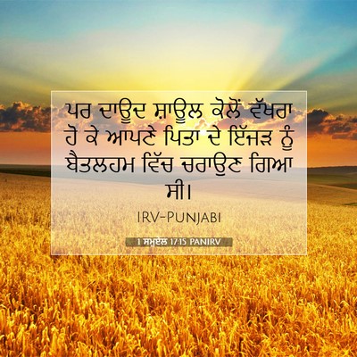 Picture 07 - 1 ਸਮੂਏਲ 17:15 PANIRV - ਪਰ ਦਾਊਦ ਸ਼ਾਊਲ - Bible Verse Picture
