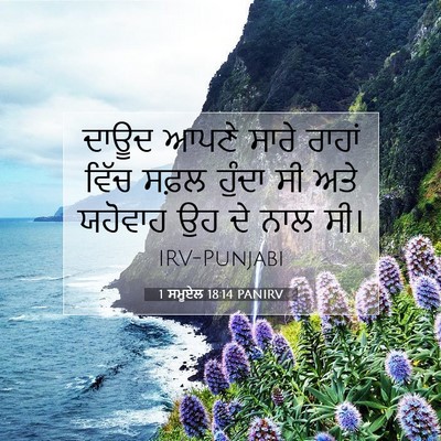 Picture 07 - 1 ਸਮੂਏਲ 18:14 PANIRV - ਦਾਊਦ ਆਪਣੇ ਸਾਰੇ - Bible Verse Picture