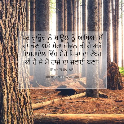 Picture 07 - 1 ਸਮੂਏਲ 18:18 PANIRV - ਪਰ ਦਾਊਦ ਨੇ ਸ਼ਾਊਲ - Bible Verse Picture