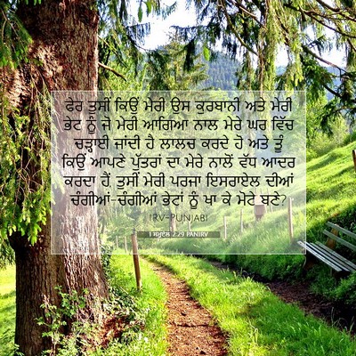 Picture 07 - 1 ਸਮੂਏਲ 2:29 PANIRV - ਫੇਰ ਤੁਸੀਂ ਕਿਉਂ - Bible Verse Picture