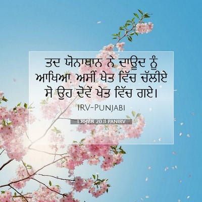 Picture 07 - 1 ਸਮੂਏਲ 20:11 PANIRV - ਤਦ ਯੋਨਾਥਾਨ ਨੇ ਦਾਊਦ - Bible Verse Picture