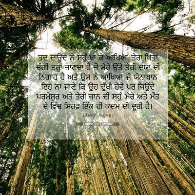 Picture 07 - 1 ਸਮੂਏਲ 20:3 PANIRV - ਤਦ ਦਾਊਦ ਨੇ ਸਹੁੰ ਖਾ - Bible Verse Picture