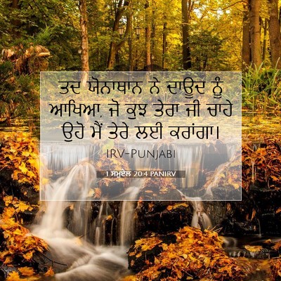 Picture 07 - 1 ਸਮੂਏਲ 20:4 PANIRV - ਤਦ ਯੋਨਾਥਾਨ ਨੇ ਦਾਊਦ - Bible Verse Picture