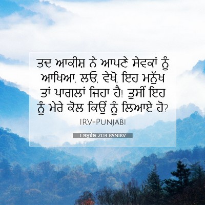Picture 07 - 1 ਸਮੂਏਲ 21:14 PANIRV - ਤਦ ਆਕੀਸ਼ ਨੇ ਆਪਣੇ - Bible Verse Picture