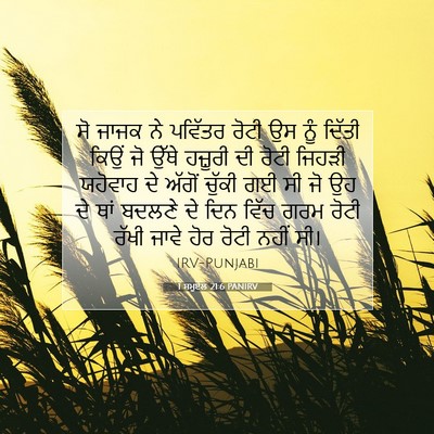 Picture 07 - 1 ਸਮੂਏਲ 21:6 PANIRV - ਸੋ ਜਾਜਕ ਨੇ ਪਵਿੱਤਰ - Bible Verse Picture