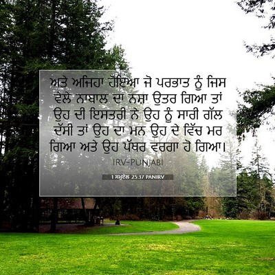 Picture 07 - 1 ਸਮੂਏਲ 25:37 PANIRV - ਅਤੇ ਅਜਿਹਾ ਹੋਇਆ ਜੋ - Bible Verse Picture