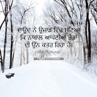 Picture 07 - 1 ਸਮੂਏਲ 25:4 PANIRV - ਦਾਊਦ ਨੇ ਉਜਾੜ ਵਿੱਚ - Bible Verse Picture