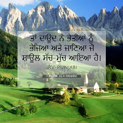 Picture 07 - 1 ਸਮੂਏਲ 26:4 PANIRV - ਤਾਂ ਦਾਊਦ ਨੇ ਭੇਤੀਆਂ - Bible Verse Picture