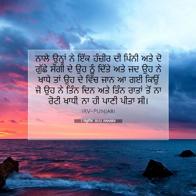 Picture 07 - 1 ਸਮੂਏਲ 30:12 PANIRV - ਨਾਲੇ ਉਨ੍ਹਾਂ ਨੇ ਇੱਕ - Bible Verse Picture