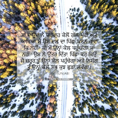Picture 07 - 1 ਸਮੂਏਲ 30:8 PANIRV - ਤਾਂ ਦਾਊਦ ਨੇ ਯਹੋਵਾਹ - Bible Verse Picture