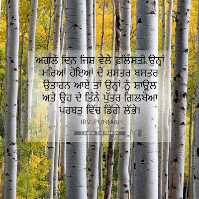 Picture 07 - 1 ਸਮੂਏਲ 31:8 PANIRV - ਅਗਲੇ ਦਿਨ ਜਿਸ ਵੇਲੇ - Bible Verse Picture